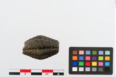 Foto von Glasmelonenperle (NHMW-PRAE-024747)